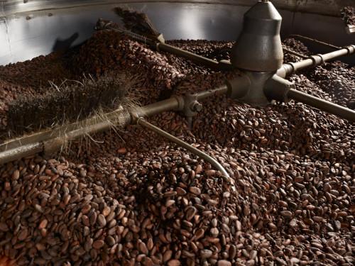 Cameroun : Sic Cacaos, Neo Industry et Atlantic Cocoa pourraient perdre 11 milliards FCFA pour manque de matières premières
