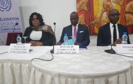 Gabon : Atelier d’information et de sensibilisation sur l’approche et les outils de l’OIT en images