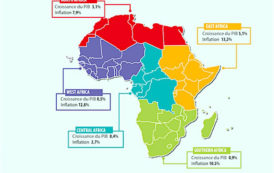 Le PIB de l’économie nigériane représente à lui seul 72% de l’ensemble de l’activité économique de la CEDEAO