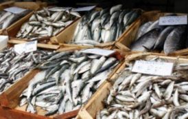 Zambie : le gouvernement impose une restriction sur les importations de poissons