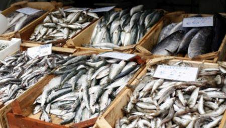 Zambie : le gouvernement impose une restriction sur les importations de poissons