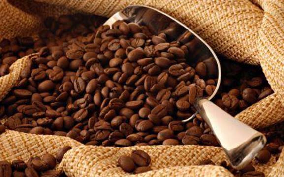 Gabon : la filière café-cacao a généré un chiffre d’affaires de 95,3 millions de FCFA au cours de la campagne 2015/2016