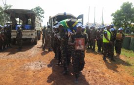 MONUSCO – De vaillants casques bleus tombés pour la paix en RDC en images