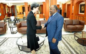 Gabon : Le Président  Ali Bongo Ondimba, a reçu ce jour en audience l’ambassadeur  de la République de Turquie en images