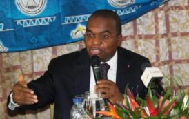 Le gouvernement camerounais débloque 780 millions FCFA pour la construction d’une unité de production de glace à Manoka