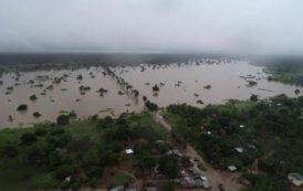 Le cyclone Idai a détruit 500 000 hectares de cultures en Afrique australe (Nations unies)