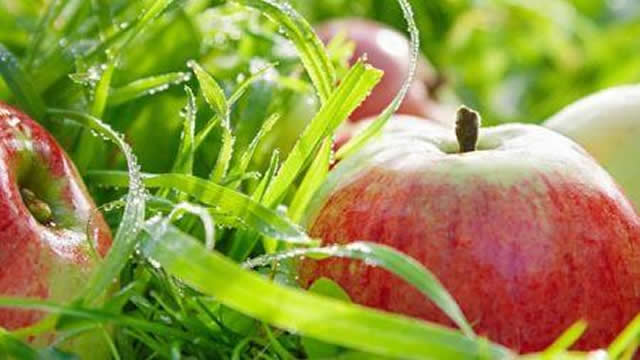 Maroc : l’Émiratie Al Dahra injecte 15,6 millions de dollars dans la production de pommes et de fleurs à Azrou