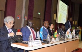 Mise en œuvre du Plan Directeur pour l’Aménagement des Corridors en Afrique de L’Ouest : La Cote d’Ivoire réaffirme son engagement en images