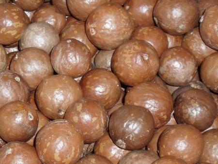 Porté par la qualité, le prix de la noix de macadamia s’envole sur le marché kényan