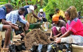 La FAO évalue l’impact de ses projets sur les communautés locales au Gabon