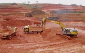 Une des plus grandes mines de bauxite de la Guinée entrera en production en 2019 (Ministère)