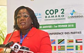 Dechets dangereux : LA convention de bamako, une tribune pour des solutions efficaces