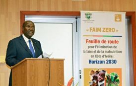 Côte d’Ivoire : Lutte contre la pauvrete : Le gouvernement pour une croissance economique de plus en plus inclusive