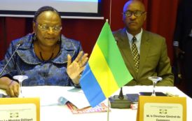 Gabon : Atelier national de Recherche et Webmarketing : Irène LINDZONDZO lance officiellement l’ouverture des travaux en images