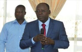 Bénin : 50 % des terres dégradées seront restaurées d’ici 2030 (ministre)