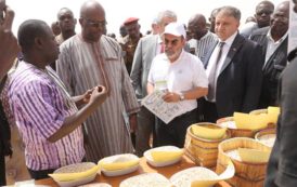 La Journée des légumineuses célébrée à Koumbané en présence du Président du Faso et du Directeur général de la FAO en images