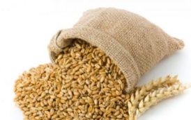 Le meunier camerounais Sctb lorgne 30% du marché local de la farine, grâce à de nouveaux investissements