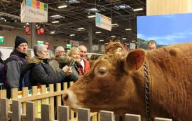 55e Salon international de l’agriculture à Paris, en France en images