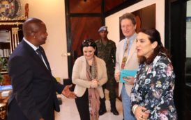 Centrafrique : Audience avec le Président de la République L’Ambassadrice, Chef de délégation de l’Union européenne en images