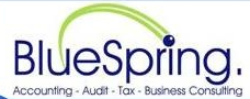 BLUESPRING ACCOUNTING AND BUSINESS CONSULTING LTD  Limbe, Cameroon