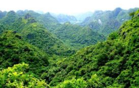 Côte d’Ivoire : 15 millions $ de la Banque mondiale pour enrayer le déboisement et la dégradation des forêts