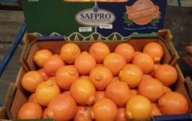 Afrique du Sud : les exportations de fruits vers les USA ont encore du potentiel (gouvernement)