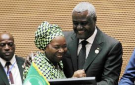 Commission de l’Union africaine : la victoire consensuelle de Moussa Faki Mahamat