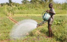 Le gouvernement gabonais lance un nouveau concept d’éducation agricole