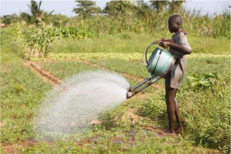 Le gouvernement gabonais lance un nouveau concept d’éducation agricole