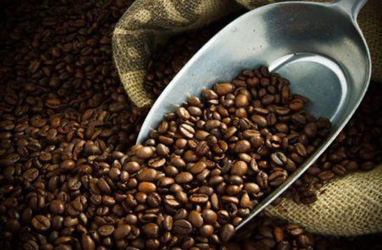 Ouganda : les exportations de café en légère baisse durant le mois d’avril