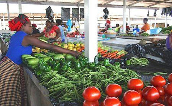 Zimbabwe : les producteurs ciblent 200 millions $ de recettes d’exportation de produits horticoles d’ici 2020