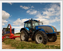 FARM MANAGEMENT CONSULTANCY