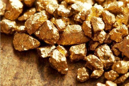 Zimbabwe : la production aurifère devrait atteindre un record de 30 tonnes en 2018 (Chambre des mines)