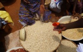 Les prix des céréales en hausse de 38% dans les régions septentrionales du Cameroun, faisant planer une menace de famine