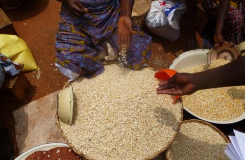 Les prix des céréales en hausse de 38% dans les régions septentrionales du Cameroun, faisant planer une menace de famine