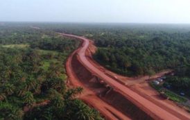 Guinée : quand les sociétés minières s’allient pour la biodiversité