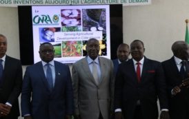 Recherche agronomique : le Président Sierra Leonais, JULIUS MAADA BIO, veut s’inspirer du CNRA ivoirien pour son pays