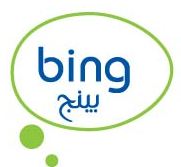 BING MANAGEMENT CONSULTANCY  Dubai, United Arab Emirates