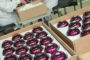 EVACTS COSMETICS GMBH