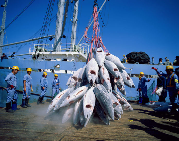 L’UE conclut un nouvel accord de pêche avec la Côte d’Ivoire