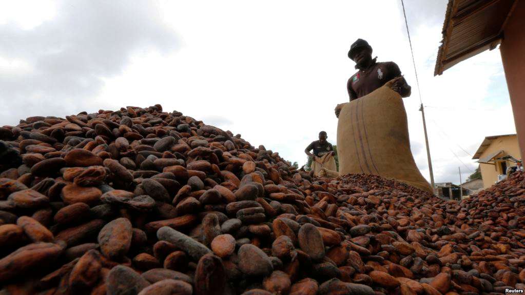 Accord entre la Côte d’Ivoire et le Ghana sur les prix du cacao