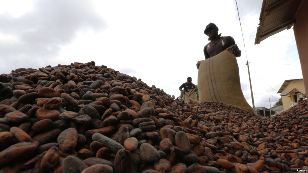 La patronne de la filière cacao limogée en Côte d’Ivoire