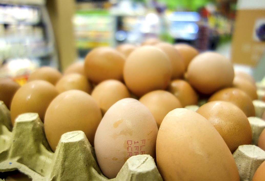 Les Français boudent les œufs de poules élevées en cage