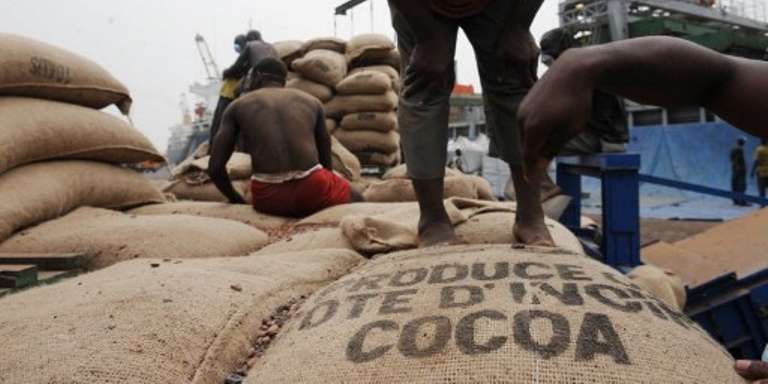 Le monde du cacao à Abidjan