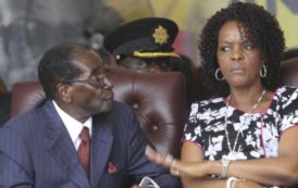 Zimbabwe : Grace Mugabe, une « formidable force politique » capable de succéder à son mari ?