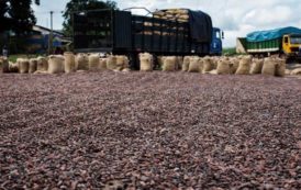 Côte d’Ivoire : Prime Group, le mystérieux repreneur potentiel de Saf Cacao, n’a pas payé.