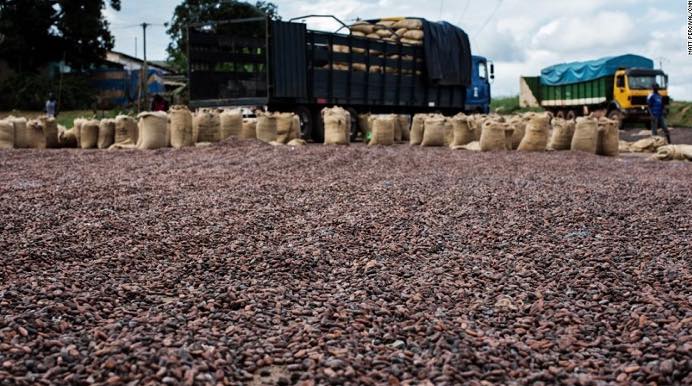 Côte d’Ivoire : Prime Group, le mystérieux repreneur potentiel de Saf Cacao, n’a pas payé.