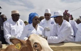 Secteur élevage au mali : lancement des travaux de l’unité laitière en décembre.