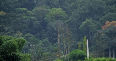 Côte d’Ivoire : Quand orpailleurs et braconniers menacent le parc national de la Comoé