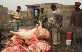 Le Nigeria ferme des abattoirs illégaux et insalubres